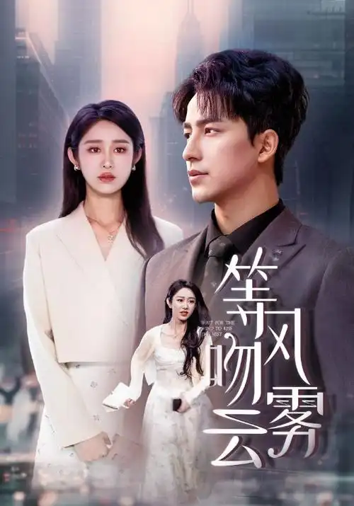 沉默的航线高清免费追更